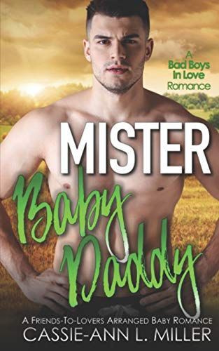 Mister Baby Daddy