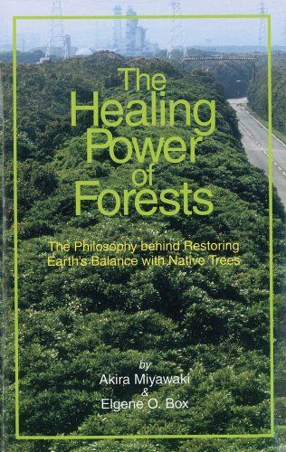 The Healing Power of Forests