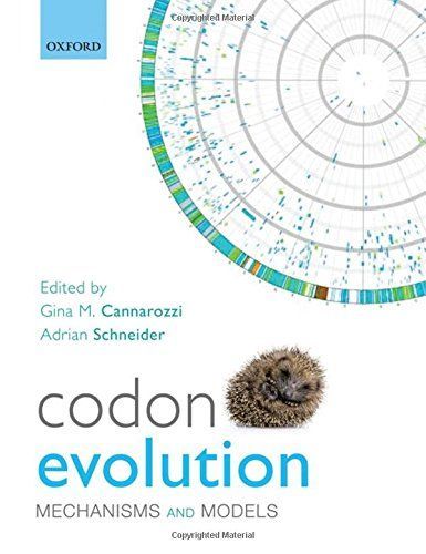 Codon Evolution