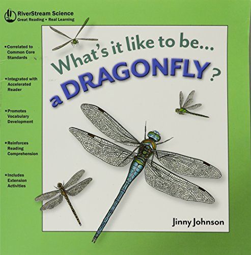 What's It Like to Be a Dragonfly?