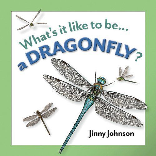 A Dragonfly