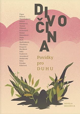 Divočina. Povídky pro Duhu