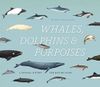 Whales, Dolphins, and Porpoises
