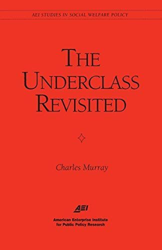 The Underclass Revisited