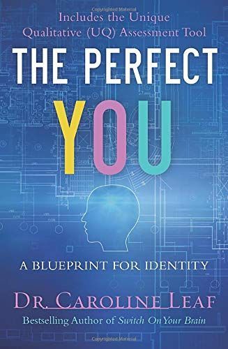 The Perfect You