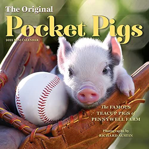 The Original Pocket Pigs Mini Wall Calendar 2022: The Teacup Piggies of Pennywell Farm