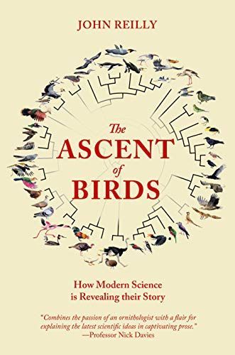 The Ascent of Birds