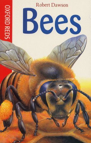 Bees