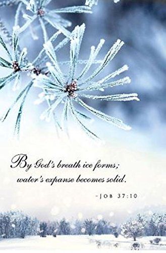 By God's Breath Winter Bulletin (Pkg Of 50)