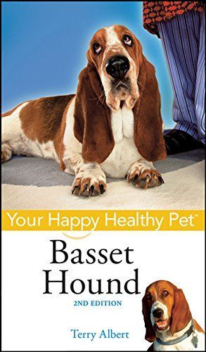 Basset Hound