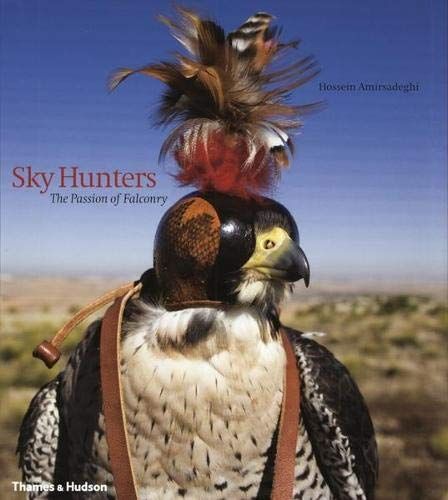 Sky Hunters