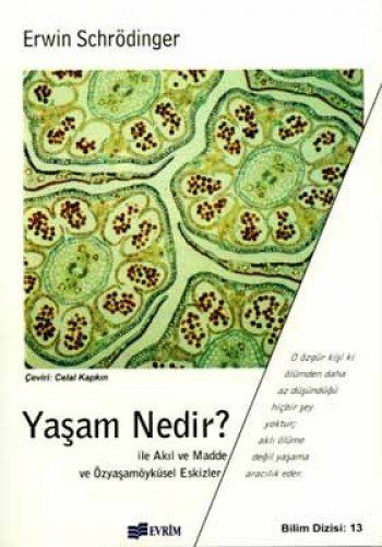 Yaşam nedir?