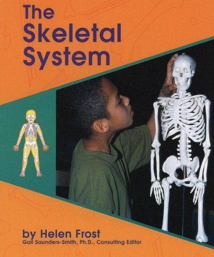 The Skeletal System