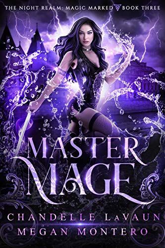 Master Mage (The Night Realm