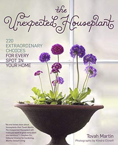 The Unexpected Houseplant