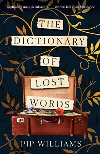 The Dictionary of Lost Words