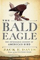 The Bald Eagle