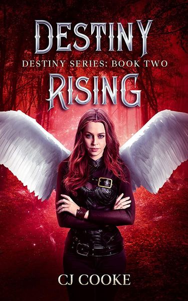 Destiny Rising