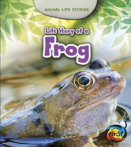 Life Story of a Frog