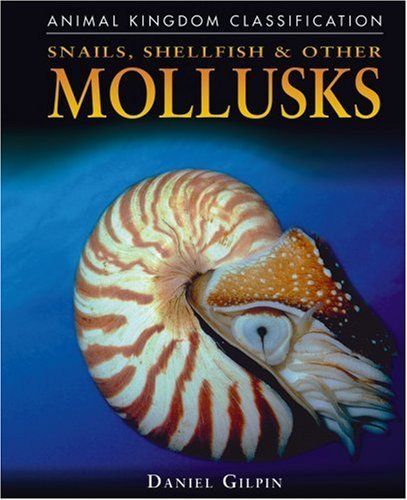 Snails, Shellfish, and Other Mollusks