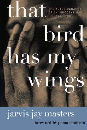 That Bird Has My Wings