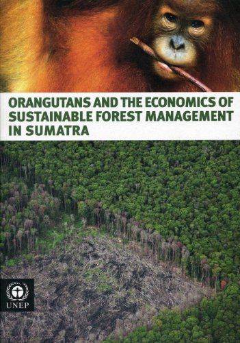 Orangutans and the Economics of Sustainable Forest Management in Sumatra