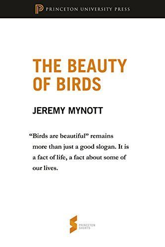 The Beauty of Birds