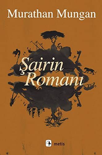 Şairin romanı