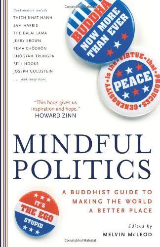 Mindful Politics