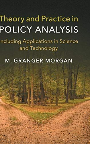 Theory and Practice in Policy Analysis