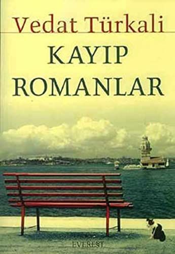 Kayıp romanlar