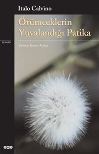 Örümceklerin yuvalandığı patika