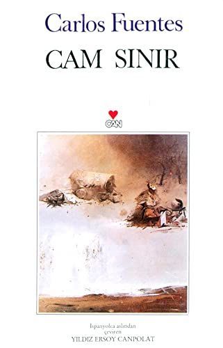 Cam sinir