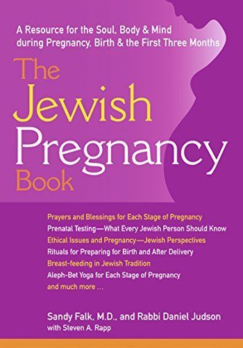 The Jewish Pregnancy Book