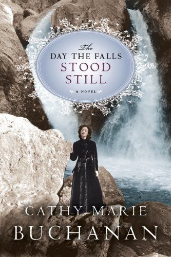 The Day The Falls Stood Still