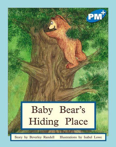 Baby Bear's Hiding Place