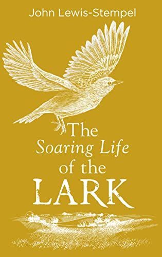 The Secret Life of the Lark