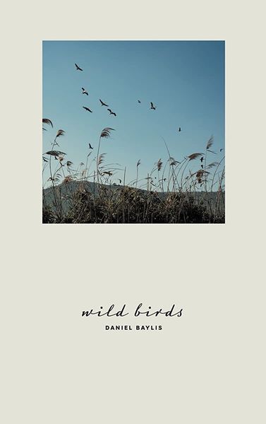 Wild Birds