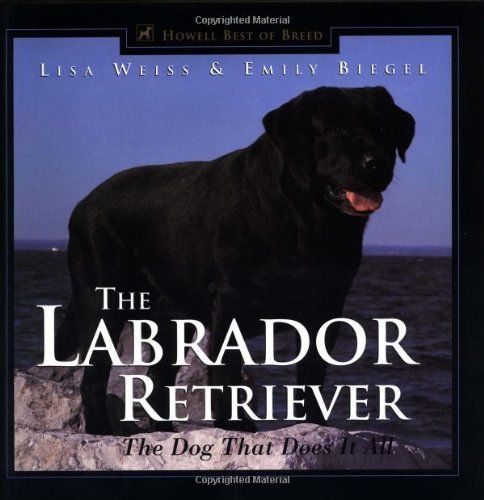 The Labrador Retriever