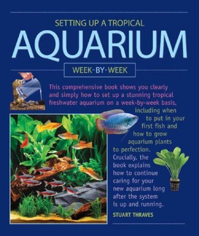 Setting Up a Tropical Aquarium Week-by-week