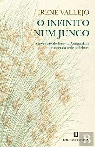 O Infinito num Junco