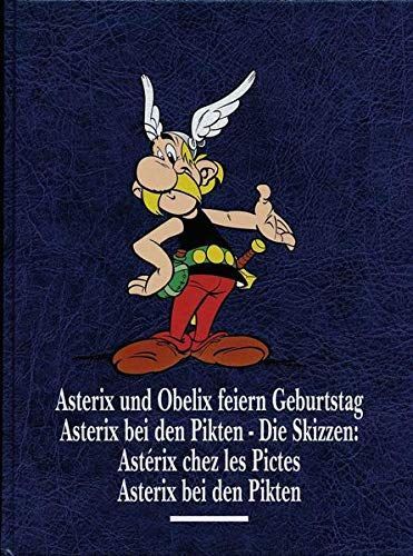 Asterix Gesamtausgabe 13