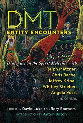 DMT Entity Encounters