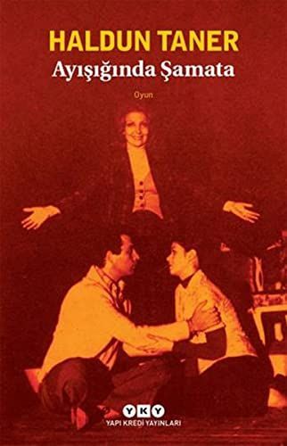 Ayışığında şamata