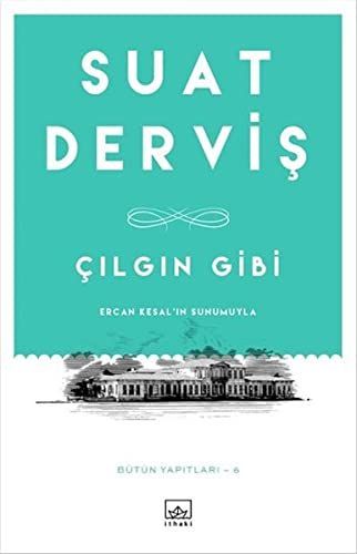 Çılgın gibi