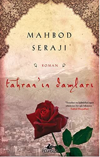 Tahran'ın damları