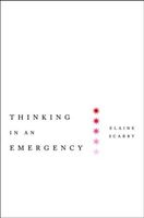 Thinking in an Emergency