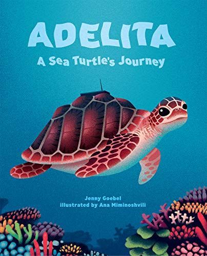 Adelita, a Sea Turtle's Journey