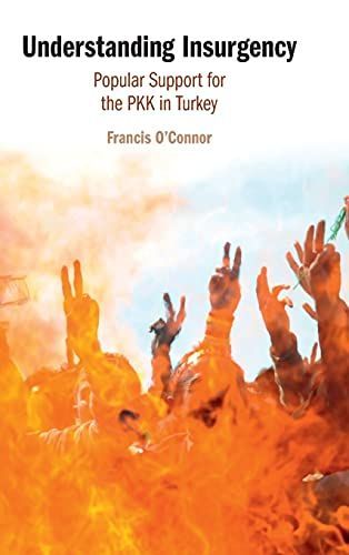Understanding Insurgency