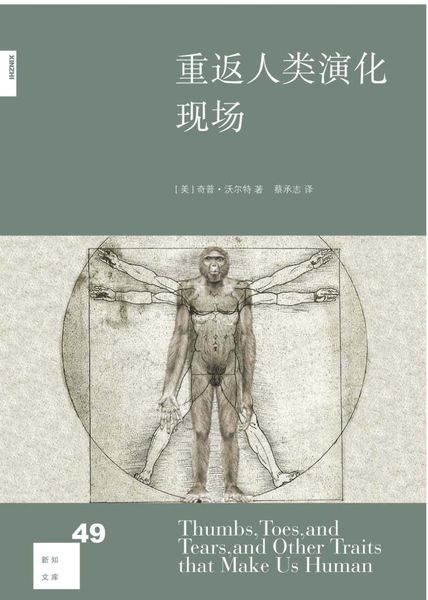 重返人类演化现场
